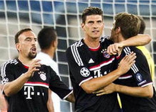 引发众怒，电讯报：摩洛哥为承办国际赛事大规模捕杀流浪狗